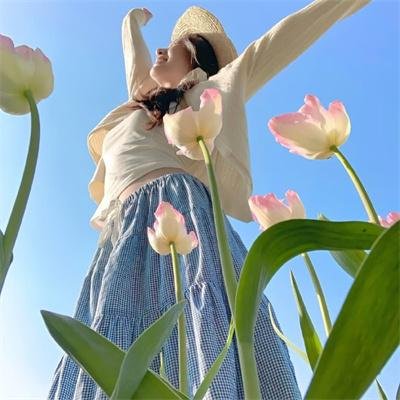杜宾巡官:布列塔尼的呼唤